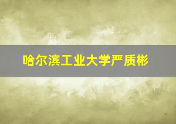 哈尔滨工业大学严质彬