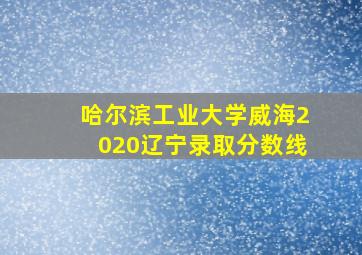 哈尔滨工业大学威海2020辽宁录取分数线