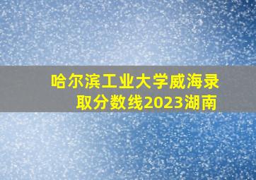 哈尔滨工业大学威海录取分数线2023湖南