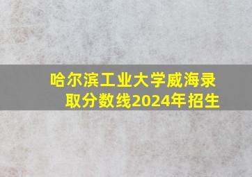 哈尔滨工业大学威海录取分数线2024年招生