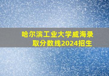 哈尔滨工业大学威海录取分数线2024招生