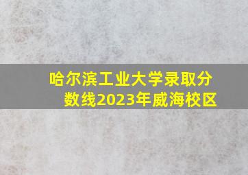 哈尔滨工业大学录取分数线2023年威海校区