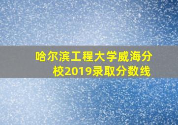 哈尔滨工程大学威海分校2019录取分数线