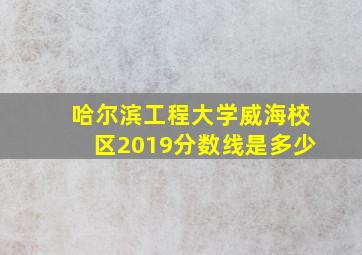 哈尔滨工程大学威海校区2019分数线是多少