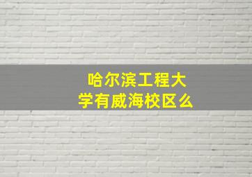 哈尔滨工程大学有威海校区么