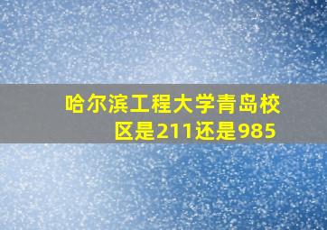 哈尔滨工程大学青岛校区是211还是985