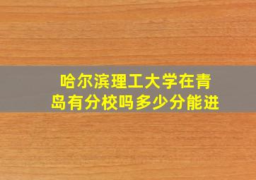 哈尔滨理工大学在青岛有分校吗多少分能进