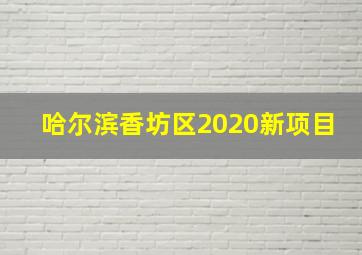 哈尔滨香坊区2020新项目