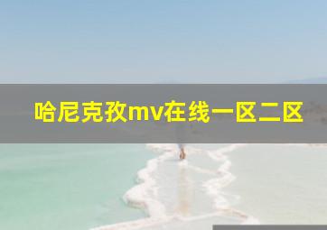 哈尼克孜mv在线一区二区