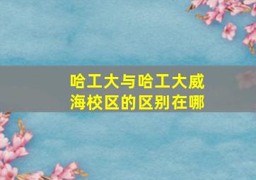 哈工大与哈工大威海校区的区别在哪