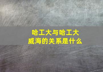 哈工大与哈工大威海的关系是什么