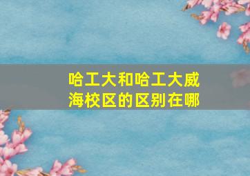 哈工大和哈工大威海校区的区别在哪