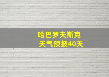 哈巴罗夫斯克天气预报40天