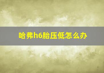 哈弗h6胎压低怎么办