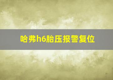 哈弗h6胎压报警复位