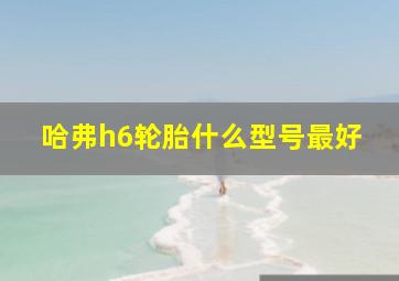 哈弗h6轮胎什么型号最好