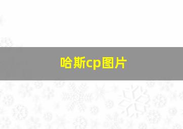 哈斯cp图片