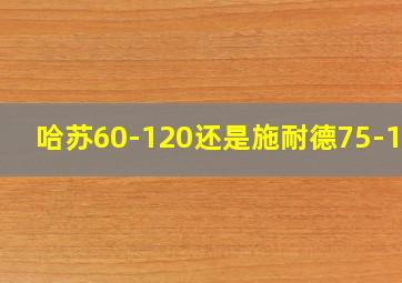 哈苏60-120还是施耐德75-150