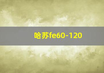 哈苏fe60-120