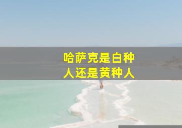 哈萨克是白种人还是黄种人