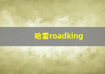 哈雷roadking