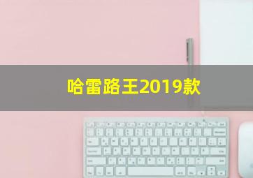 哈雷路王2019款