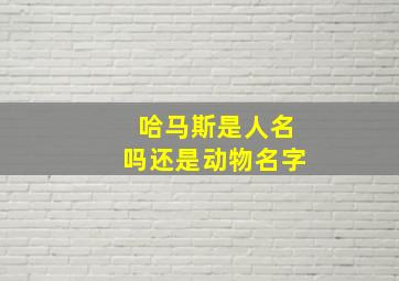 哈马斯是人名吗还是动物名字