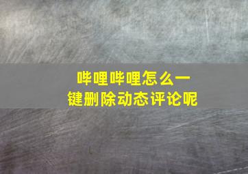 哔哩哔哩怎么一键删除动态评论呢