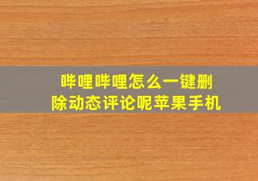 哔哩哔哩怎么一键删除动态评论呢苹果手机