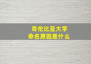 哥伦比亚大学命名原因是什么