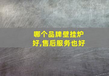 哪个品牌壁挂炉好,售后服务也好