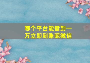 哪个平台能借到一万立即到账呢微信