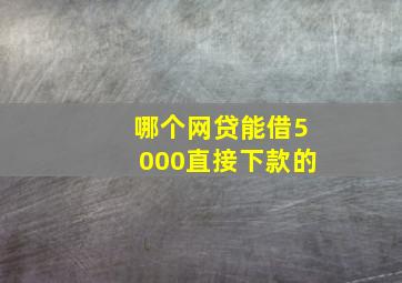 哪个网贷能借5000直接下款的