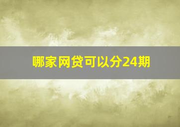 哪家网贷可以分24期