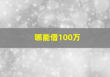 哪能借100万