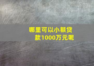 哪里可以小额贷款1000万元呢