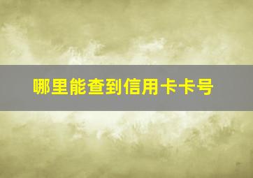 哪里能查到信用卡卡号