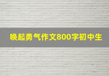 唤起勇气作文800字初中生