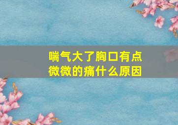 喘气大了胸口有点微微的痛什么原因