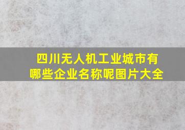 四川无人机工业城市有哪些企业名称呢图片大全