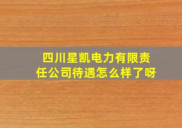 四川星凯电力有限责任公司待遇怎么样了呀