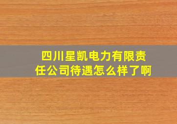 四川星凯电力有限责任公司待遇怎么样了啊