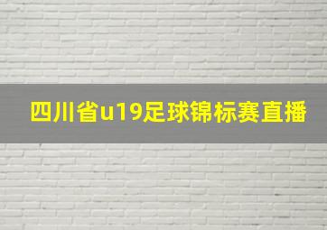 四川省u19足球锦标赛直播