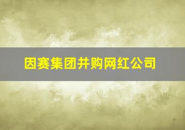 因赛集团并购网红公司