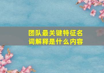 团队最关键特征名词解释是什么内容