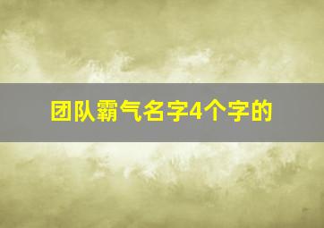 团队霸气名字4个字的