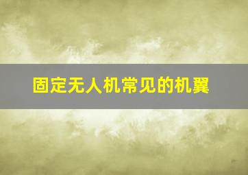 固定无人机常见的机翼