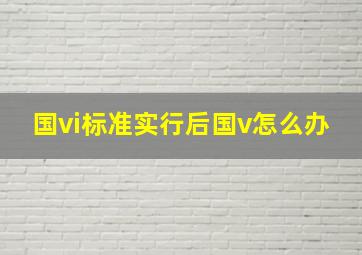 国vi标准实行后国v怎么办