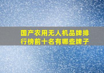 国产农用无人机品牌排行榜前十名有哪些牌子