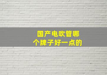 国产电吹管哪个牌子好一点的